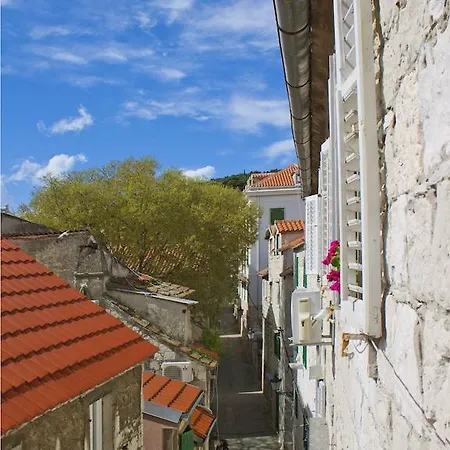 Central City Bruna Split